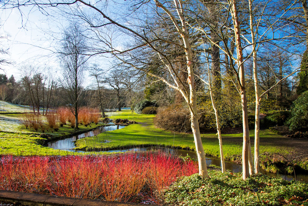 The Savill Garden in winter